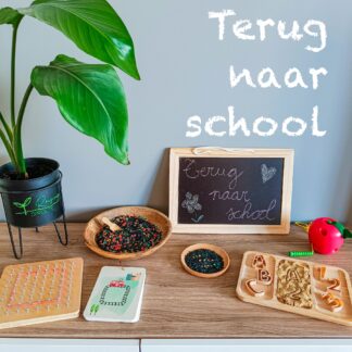 Terug naar School