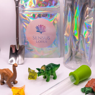 Sensory Adventure Bottle: Dinosaurussen